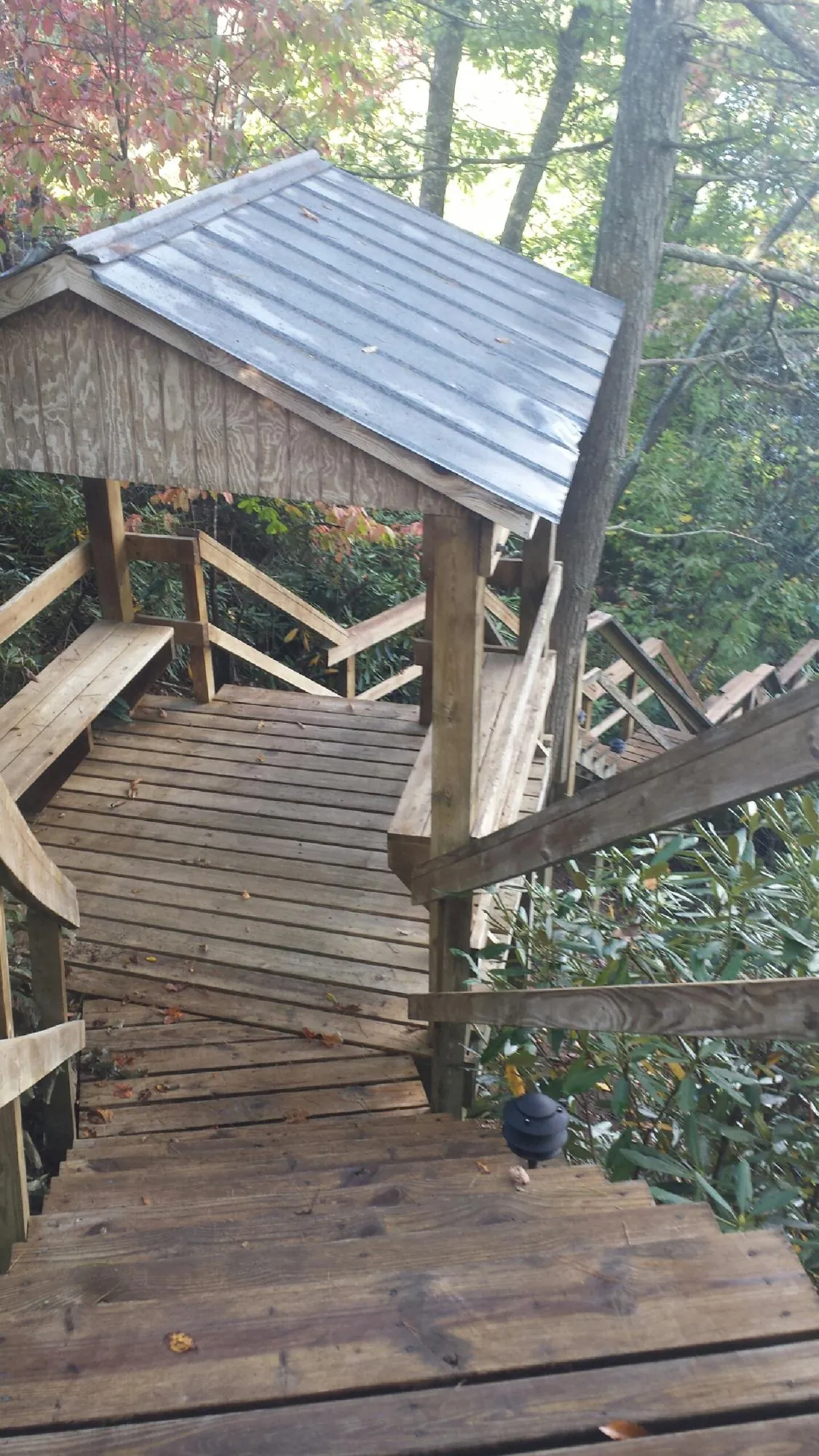 Metal roofed shelter over wooden steps on a wooded walkway in Weston